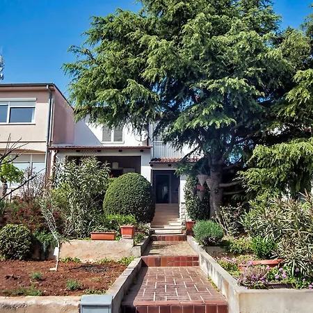Hana House Tatil Evi *